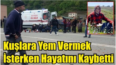 Kuşlara Yem Vermek İsterken Hayatını Kaybetti