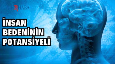 İnsan Bedeniyle İlgili Şaşırtıcı Bilgiler