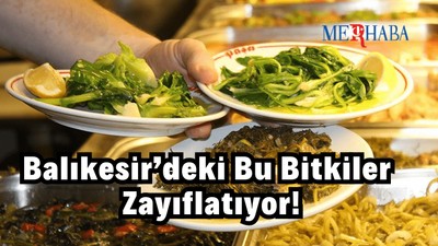 Balıkesir’deki Bu Bitkiler Zayıflatıyor!