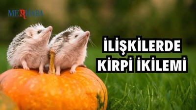 İlişkilerde Kirpi İkilemi