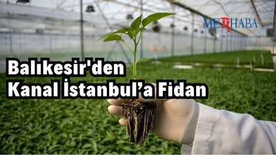Balıkesir'den Kanal İstanbul’a Fidan