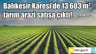 Balıkesir Karesi'de 13.603 m² tarım arazi satışa çıktı!