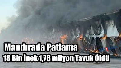 Mandırada Patlama