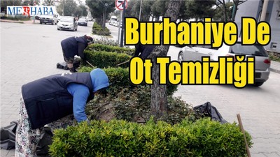 Burhaniye De Ot Temizliği