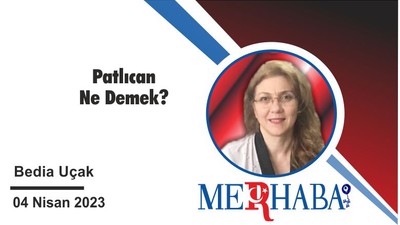 Patlıcan Ne Demek?