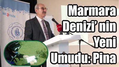 Yeni Umudun Adı Pina