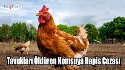 Tavukları Öldüren Komşuya Hapis Cezası