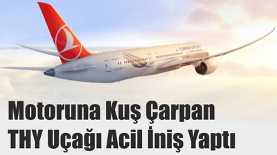 Motoruna Kuş Çarpan THY Uçağı Acil İniş Yaptı