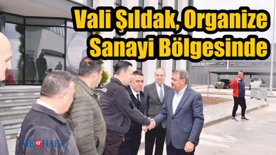 Validen OSB İncelemeleri