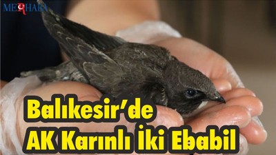 Balıkesir'de İki Ebabil