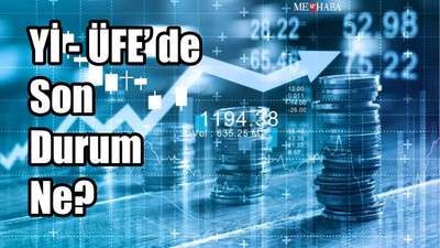 Yurt İçi Üretici Fiyat Endeksi