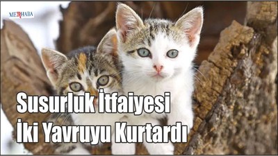 İki Yavruyu Kurtardı