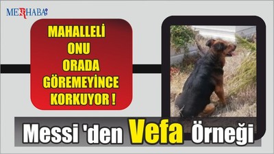 Messi ' den Vefa Örneği