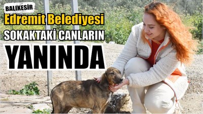Edremit Belediyesi Sokaktaki Canların Yanında