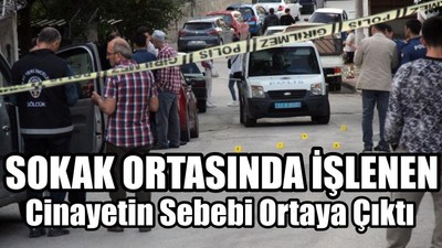 Cinayetin Sebebi Ortaya Çıktı