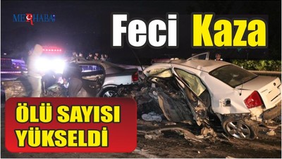 Feci Kaza