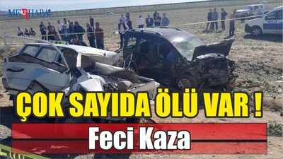 Feci Kaza