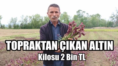 Kilosu 2 Bin TL