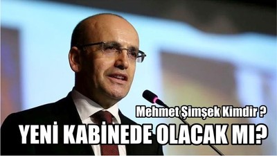Mehmet Şimşek Kimdir ?