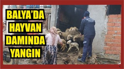 Hayvan Damında Yangın