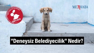 Deneysiz Belediyecilik Nedir?
