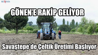 Savaştepe’de Çeltik Üretimi Başlıyor