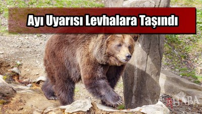 Ayı Uyarısı Artık Levhalarda