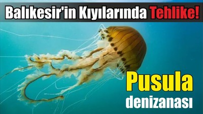 Balıkesir'in Kıyılarında Tehlike! Pusula...