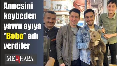 Annesini kaybeden yavru ayıya ‘’Bobo’’ adı verdiler