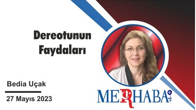 Dereotunun Faydaları