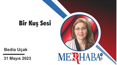 Bir Kuş Sesi