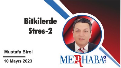 Bitkilerde Stres-2