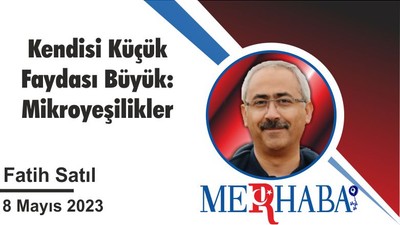 Kendisi Küçük Faydası Büyük: Mikroyeşilikler