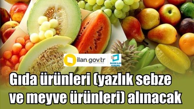 Gıda ürünleri (yazlık sebze ve meyve ürünleri) alınacak