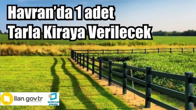 Havran’da 1 adet Tarla Kiraya Verilecek