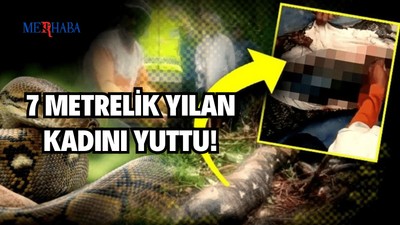 Piton Yılanı Kadını Yuttu!