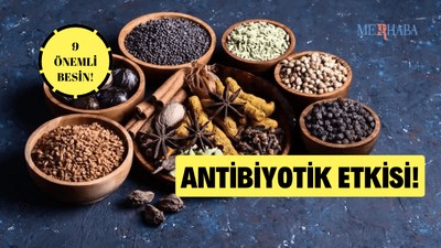 9 Doğal Antibiyotik