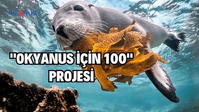 "Okyanus İçin 100" Projesi
