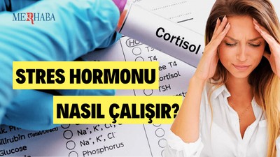 Stres Hormonu Nasıl Çalışır?