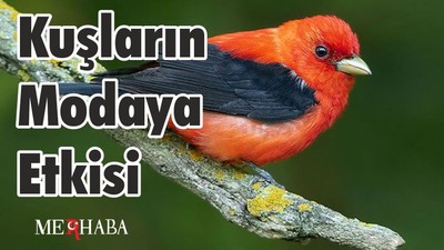 Kuşların Modaya Etkisi