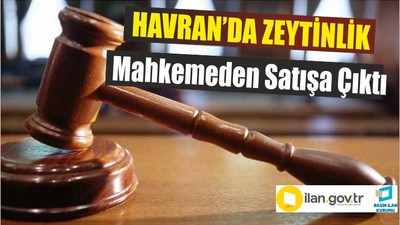 Havran’da Zeytinlik Mahkemeden Satışa Çıktı