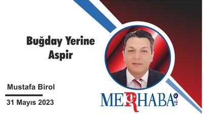 Buğday yerine Aspir