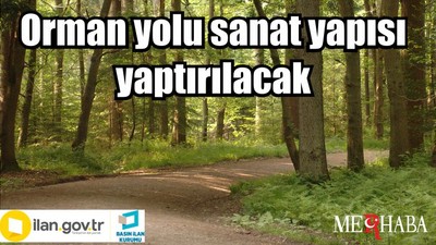 Orman yolu sanat yapısı yaptırılacak