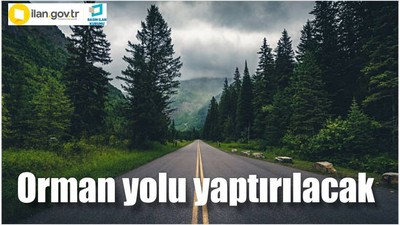 Orman yolu yaptırılacak