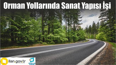 Orman Yollarında Sanat Yapısı İşi