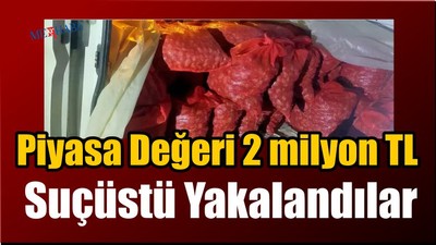 Suçüstü Yakalandılar