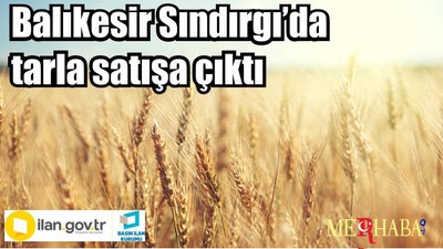 Balıkesir Sındırgı’da tarla satışa çıktı