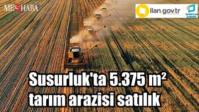 Susurluk'ta 5.375 m² tarım arazisi satılık