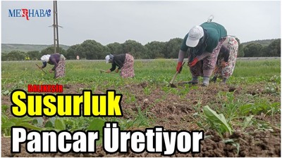 Susurluk Pancar Üretiyor