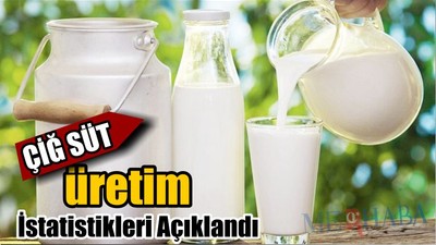 Çiğ Süt Üretimde İstatistik